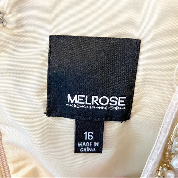 MELROSE | Champagne Lace Knee Length Formal Dress With Neck Embellishments 16 - Picture 3 of 14